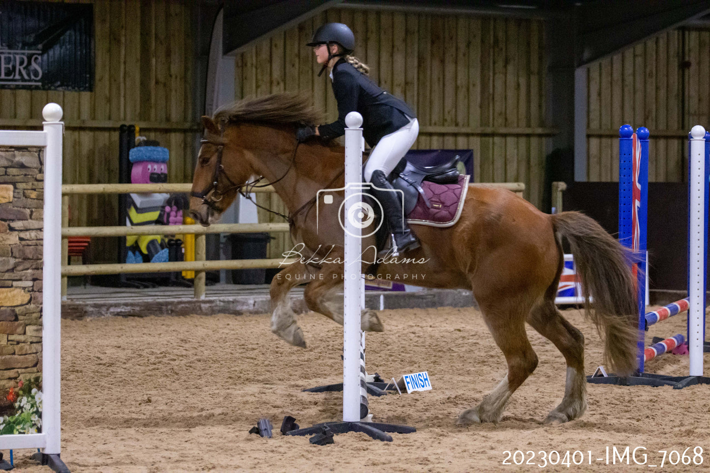 Home Farm Jumping 1st April - Seniors