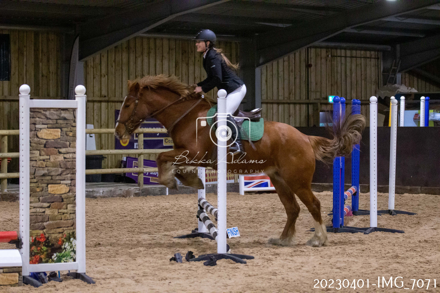 Home Farm Jumping 1st April - Seniors