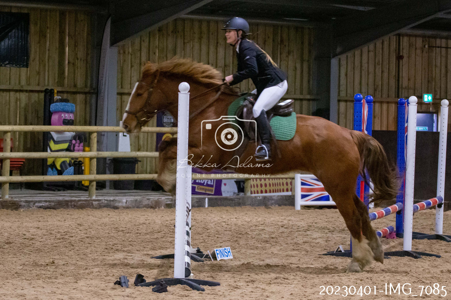 Home Farm Jumping 1st April - Seniors