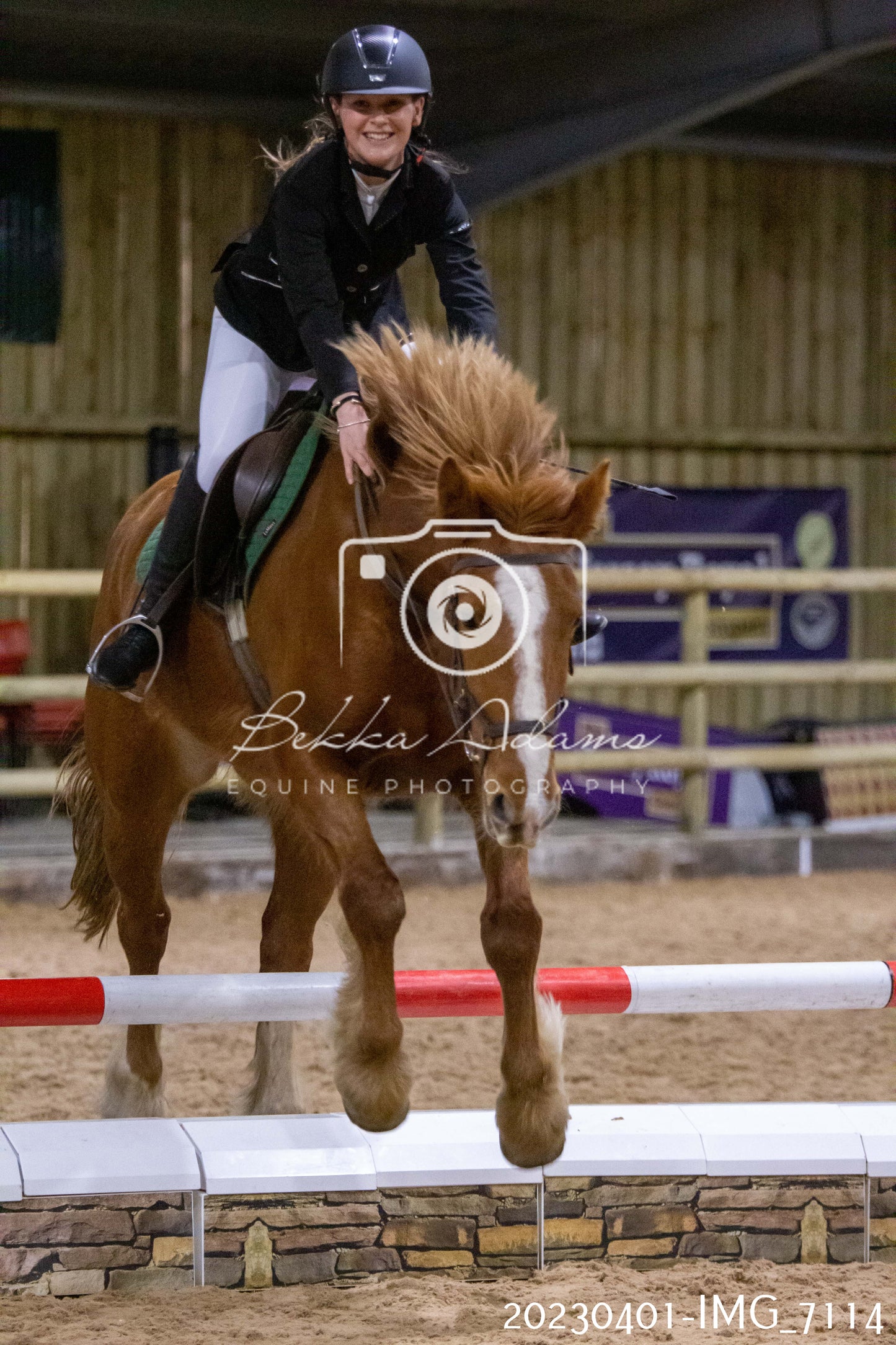 Home Farm Jumping 1st April - Seniors