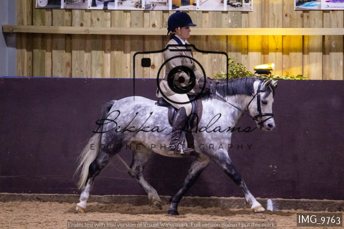 JHOYS Ridden Showing Group 2