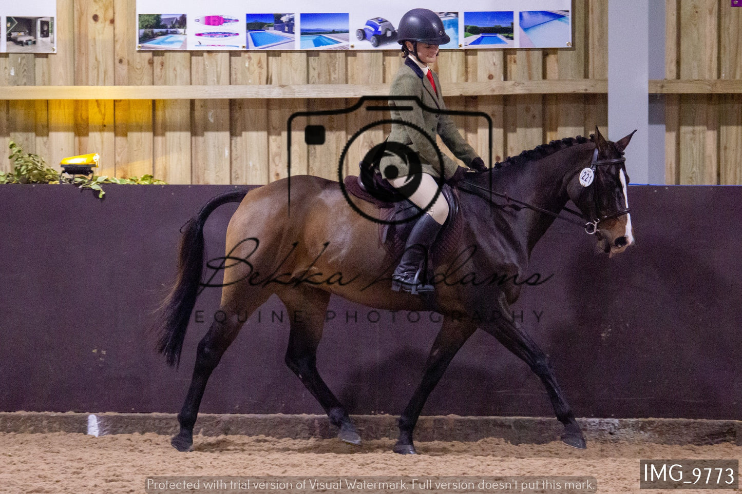 JHOYS Ridden Showing Group 2