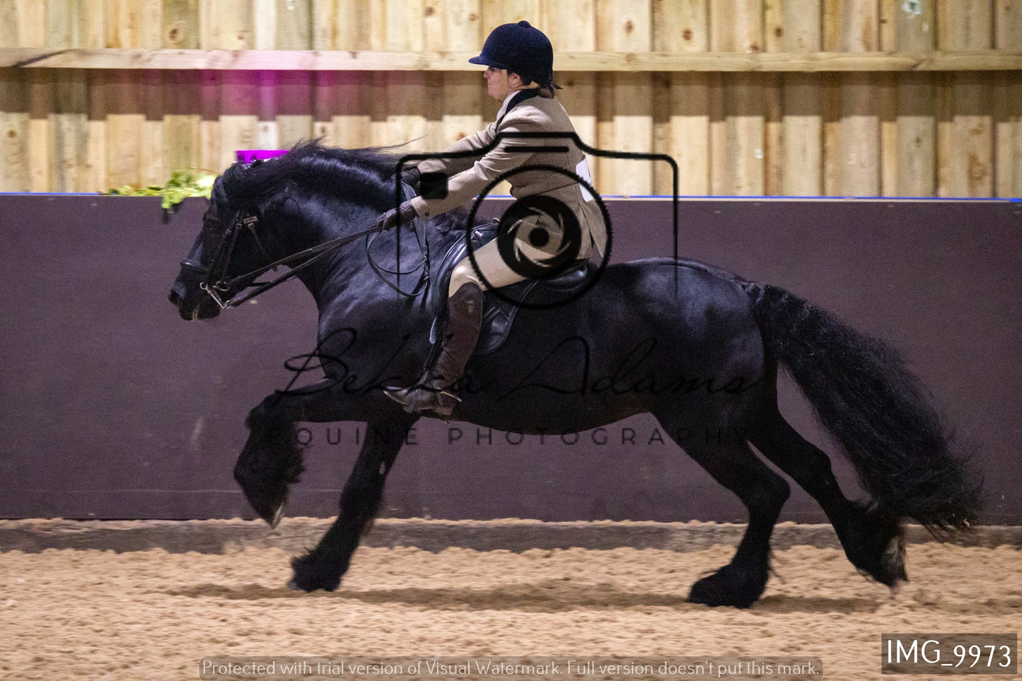 JHOYS Ridden Showing Group 2