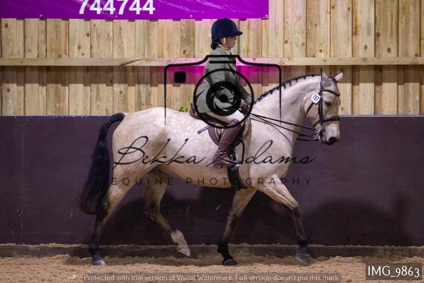 JHOYS Ridden Showing Group 2