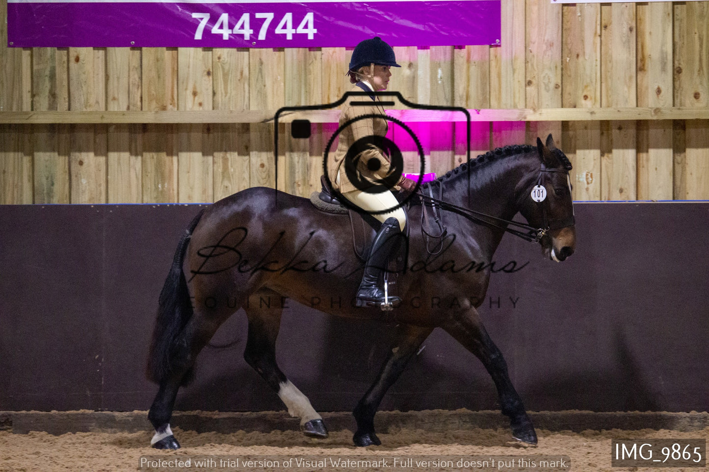 JHOYS Ridden Showing Group 2