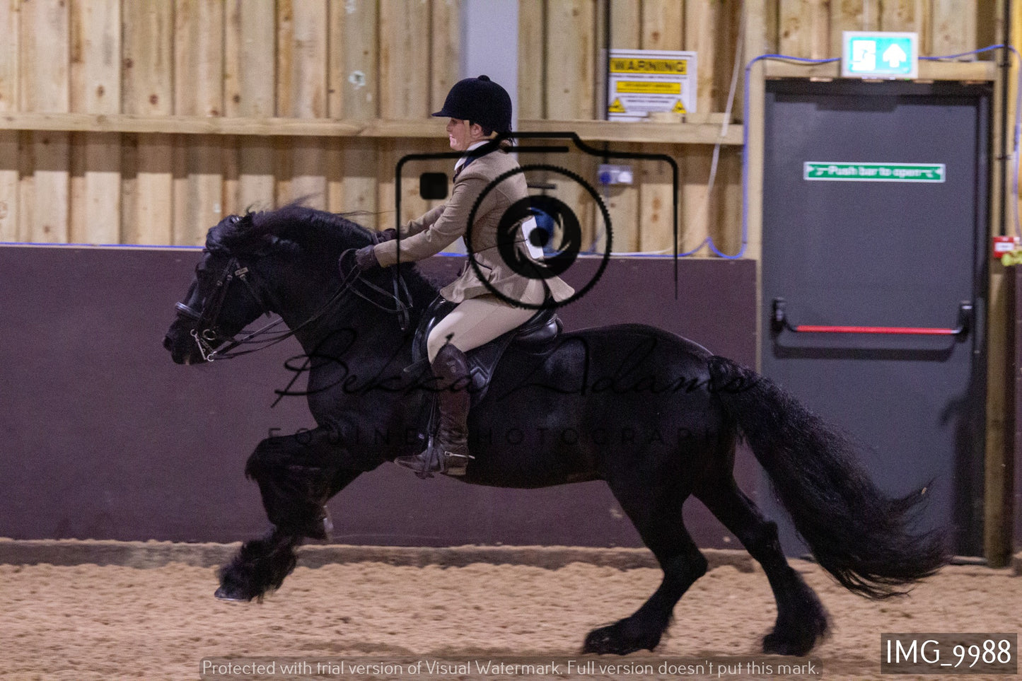JHOYS Ridden Showing Group 2