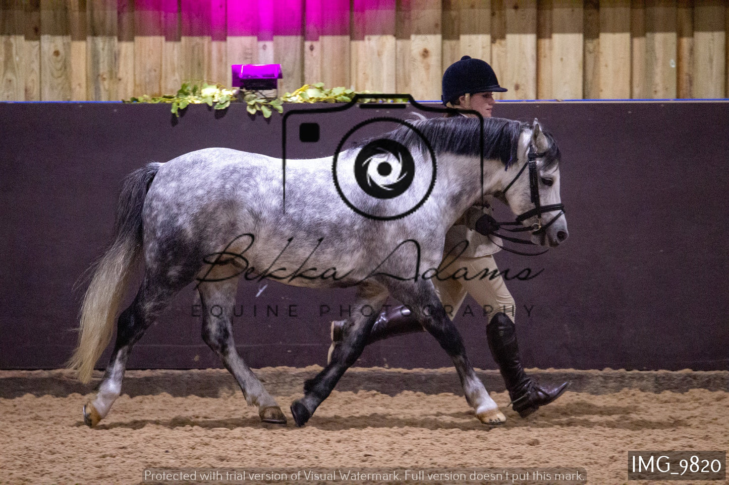 JHOYS Ridden Showing Group 2