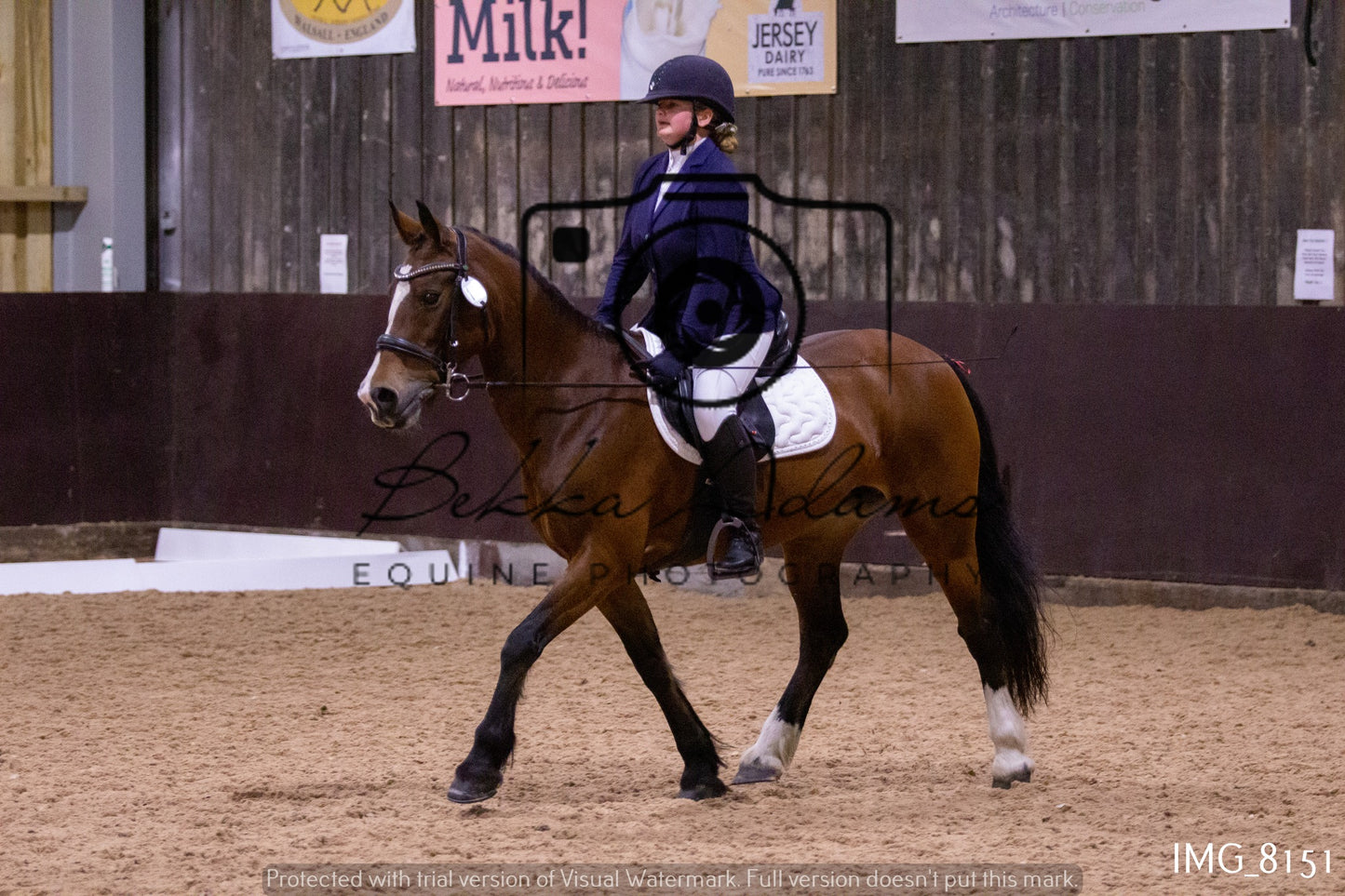JHOYS Dressage