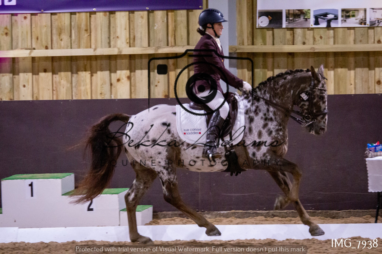 JHOYS Dressage
