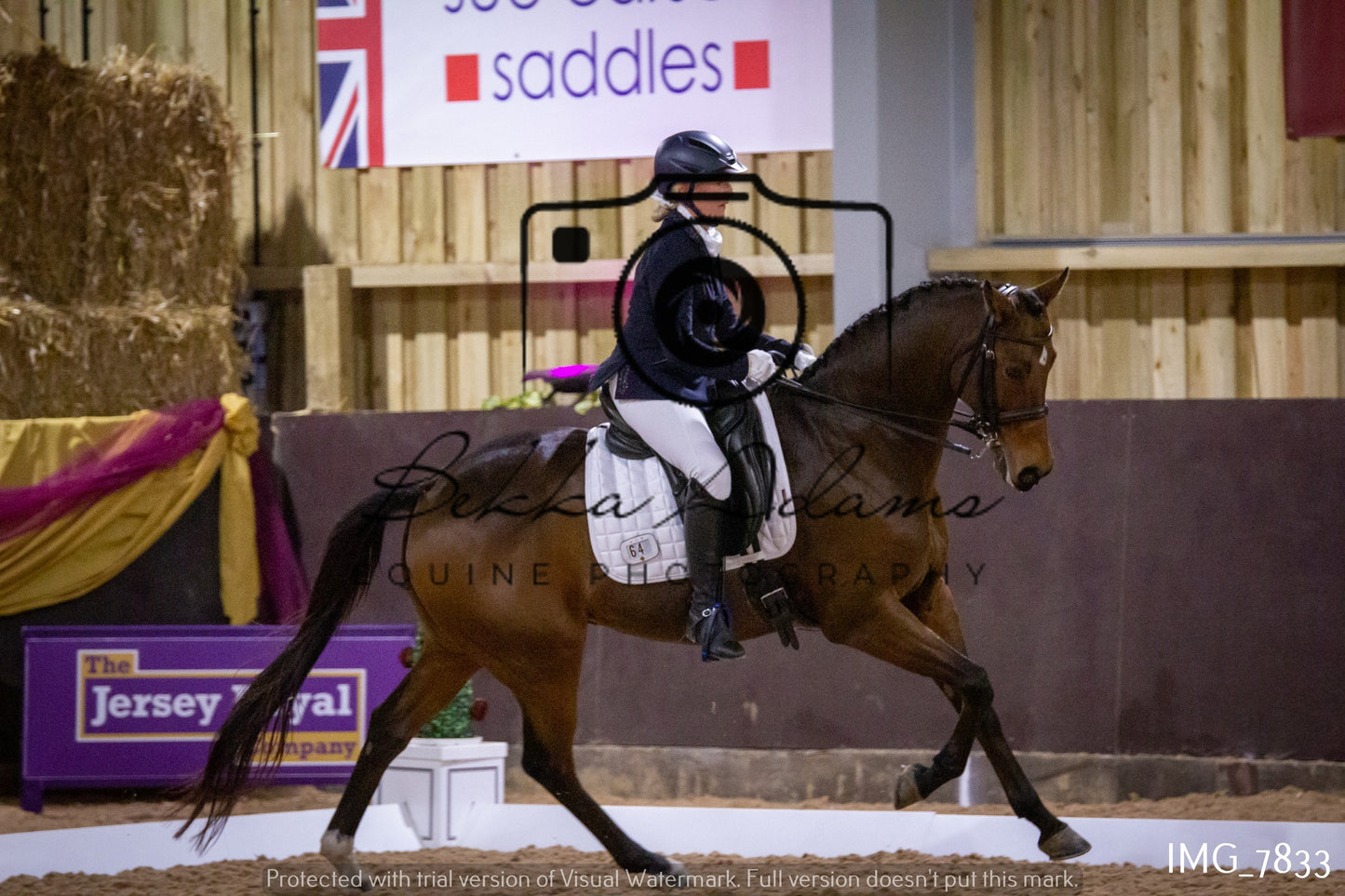 JHOYS Dressage