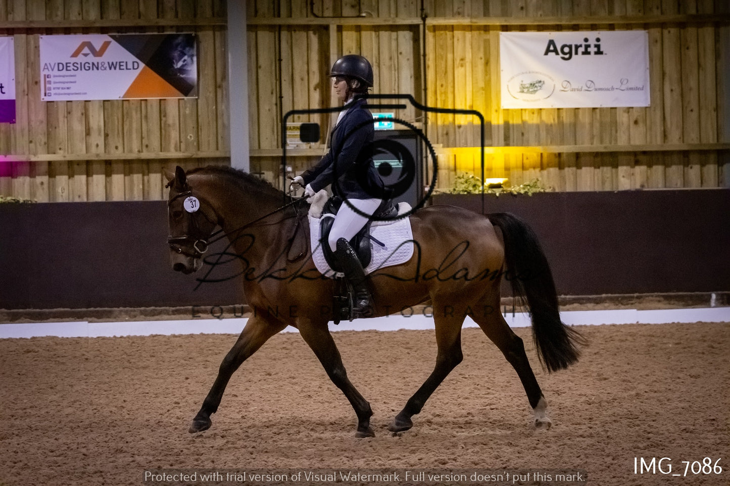 JHOYS Dressage