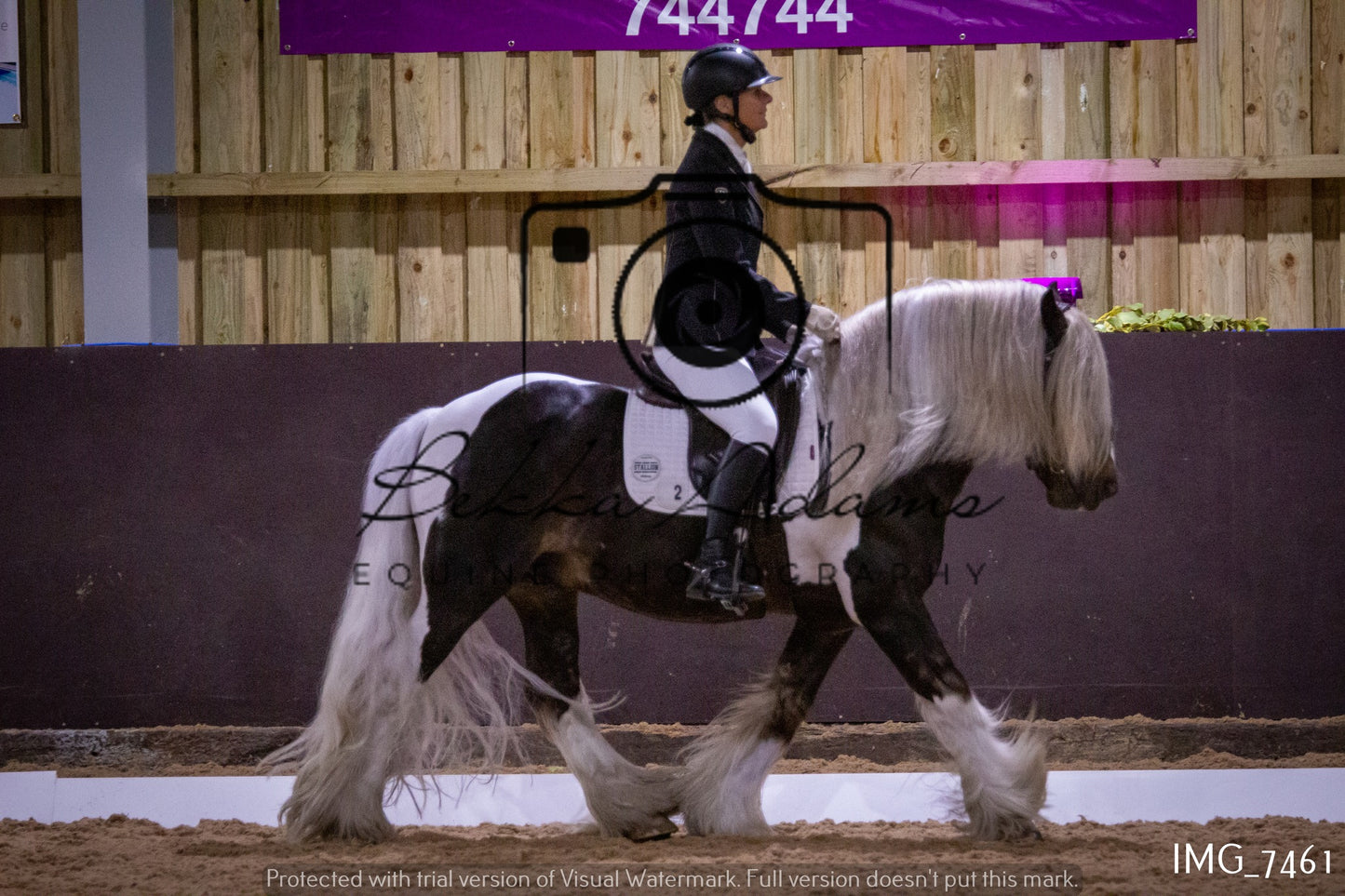 JHOYS Dressage