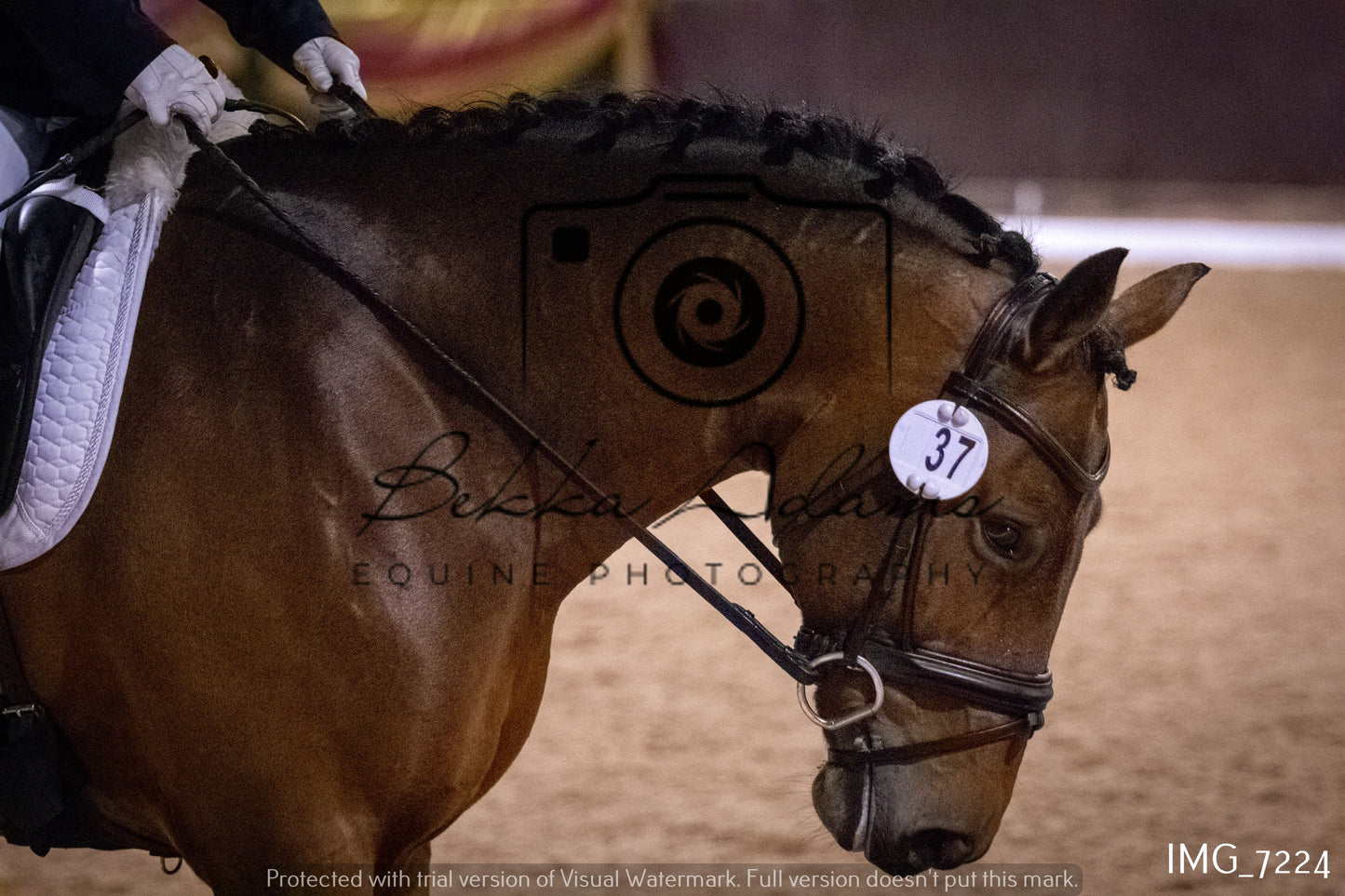 JHOYS Dressage