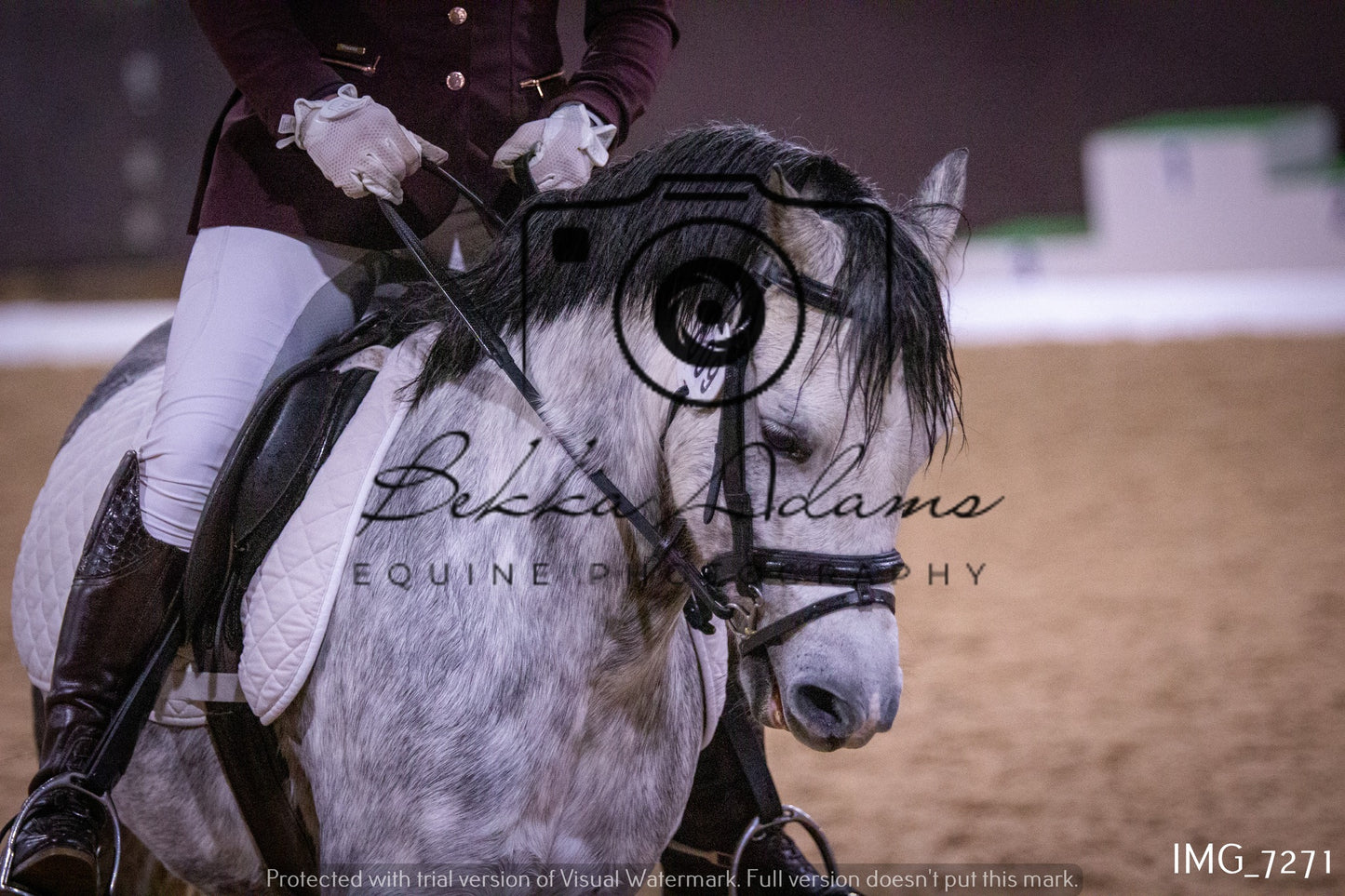 JHOYS Dressage