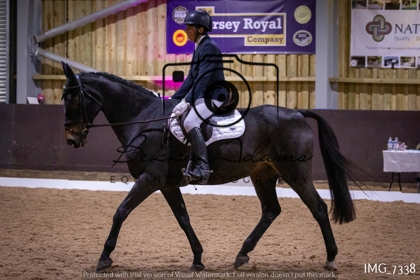 JHOYS Dressage