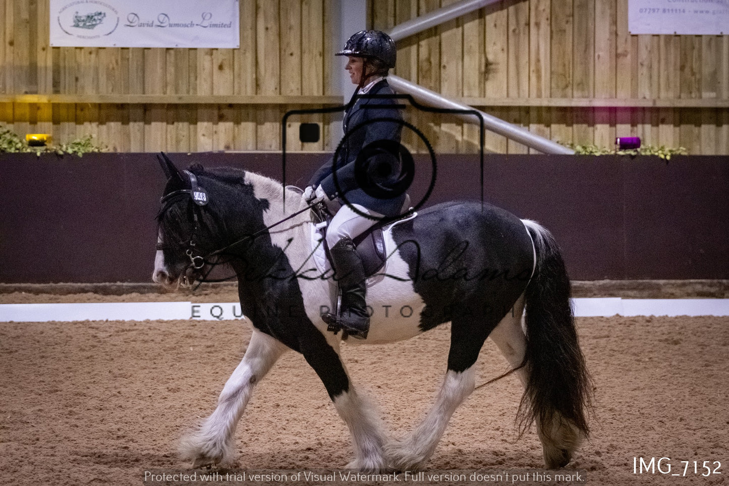 JHOYS Dressage