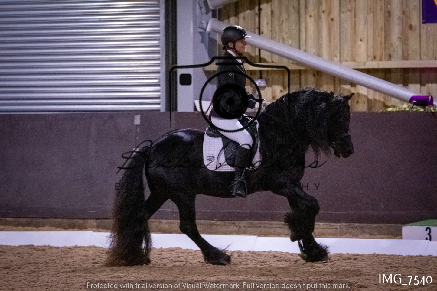 JHOYS Dressage