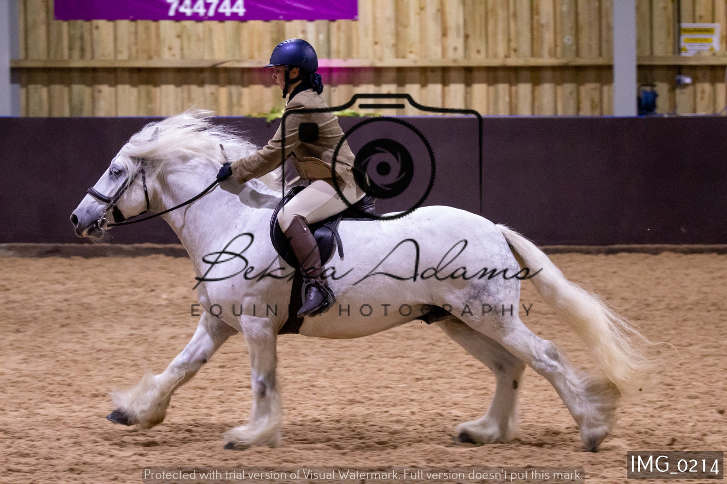 JHOYS Ridden Showing Group 1