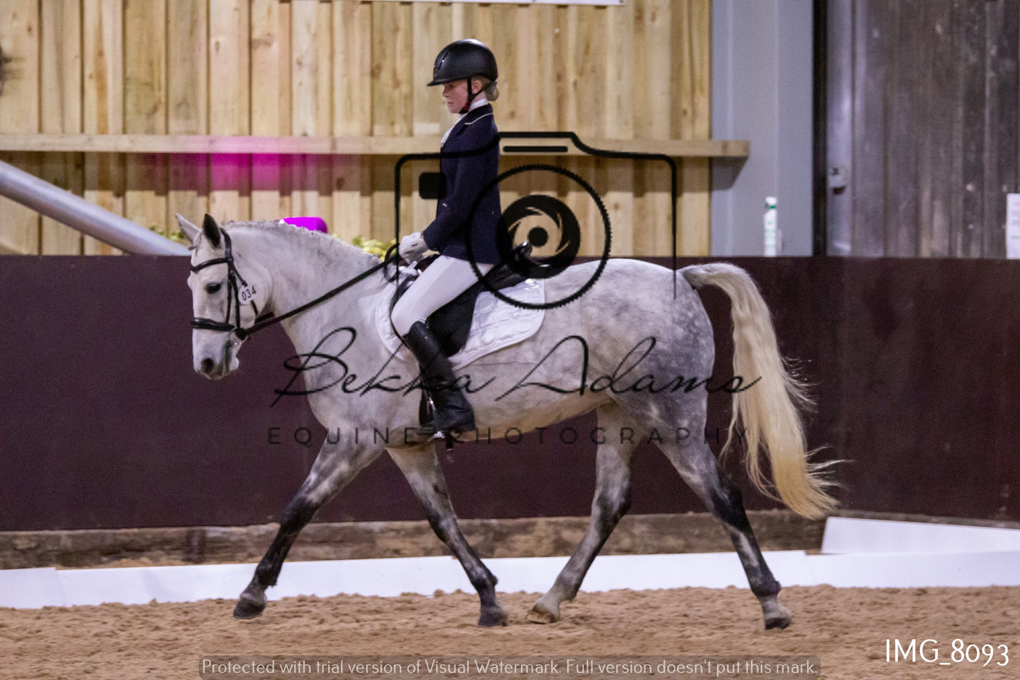JHOYS Dressage