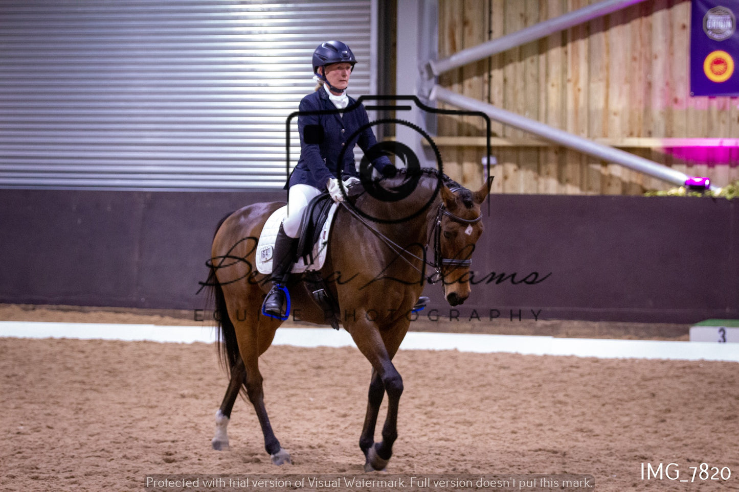 JHOYS Dressage