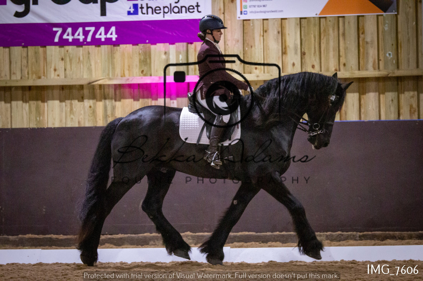 JHOYS Dressage