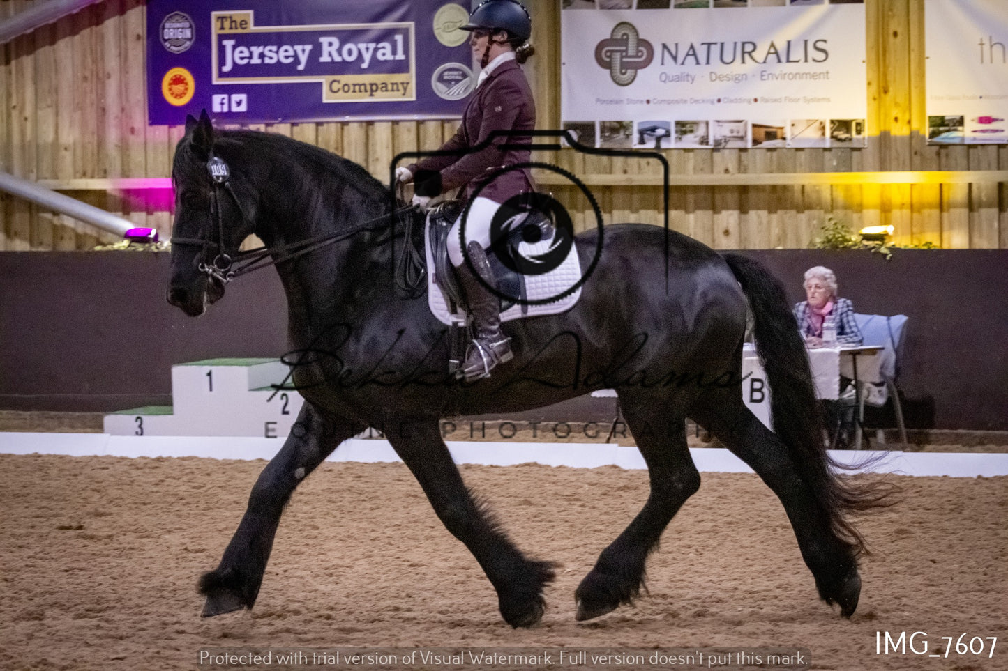 JHOYS Dressage