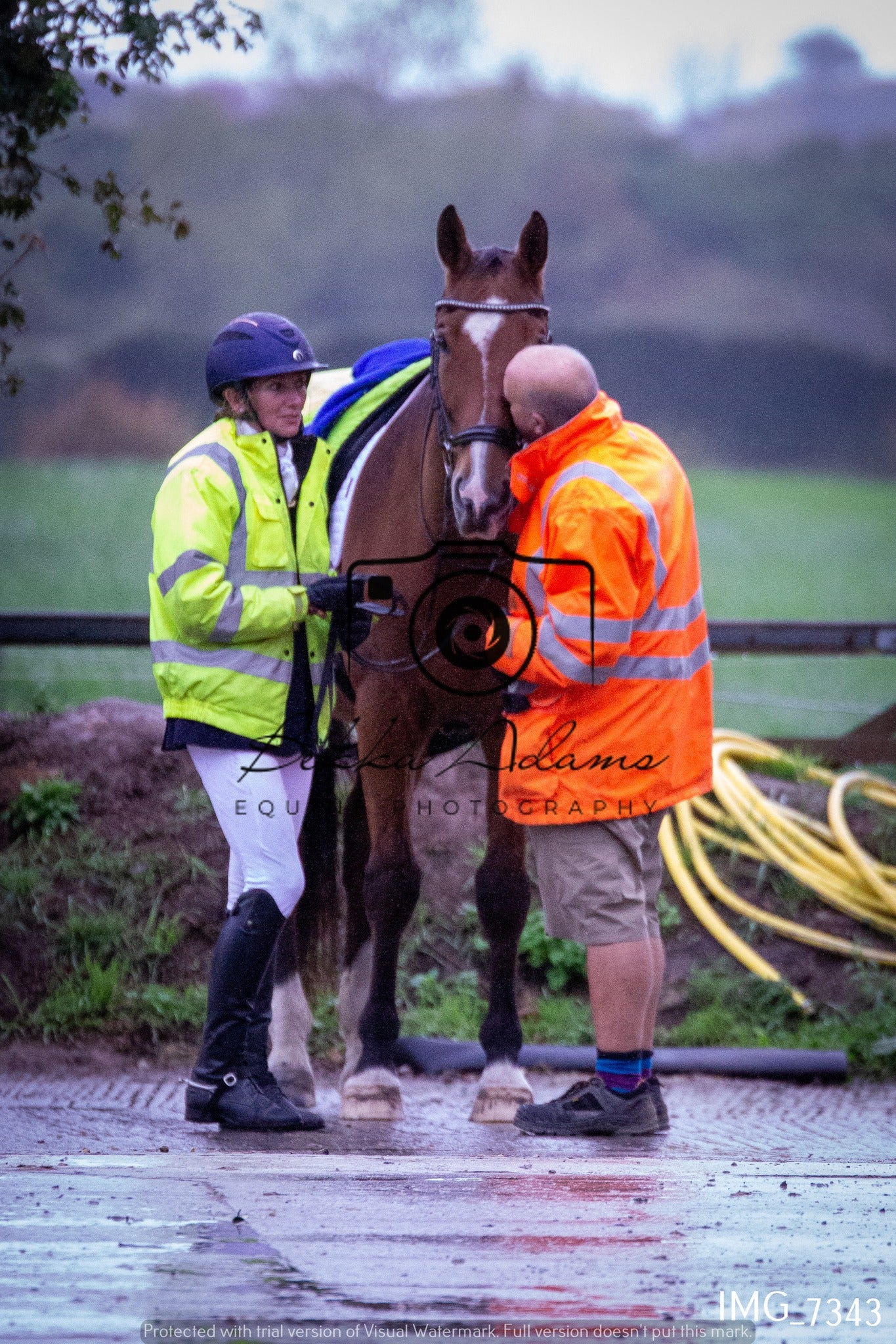 JHOYS Dressage