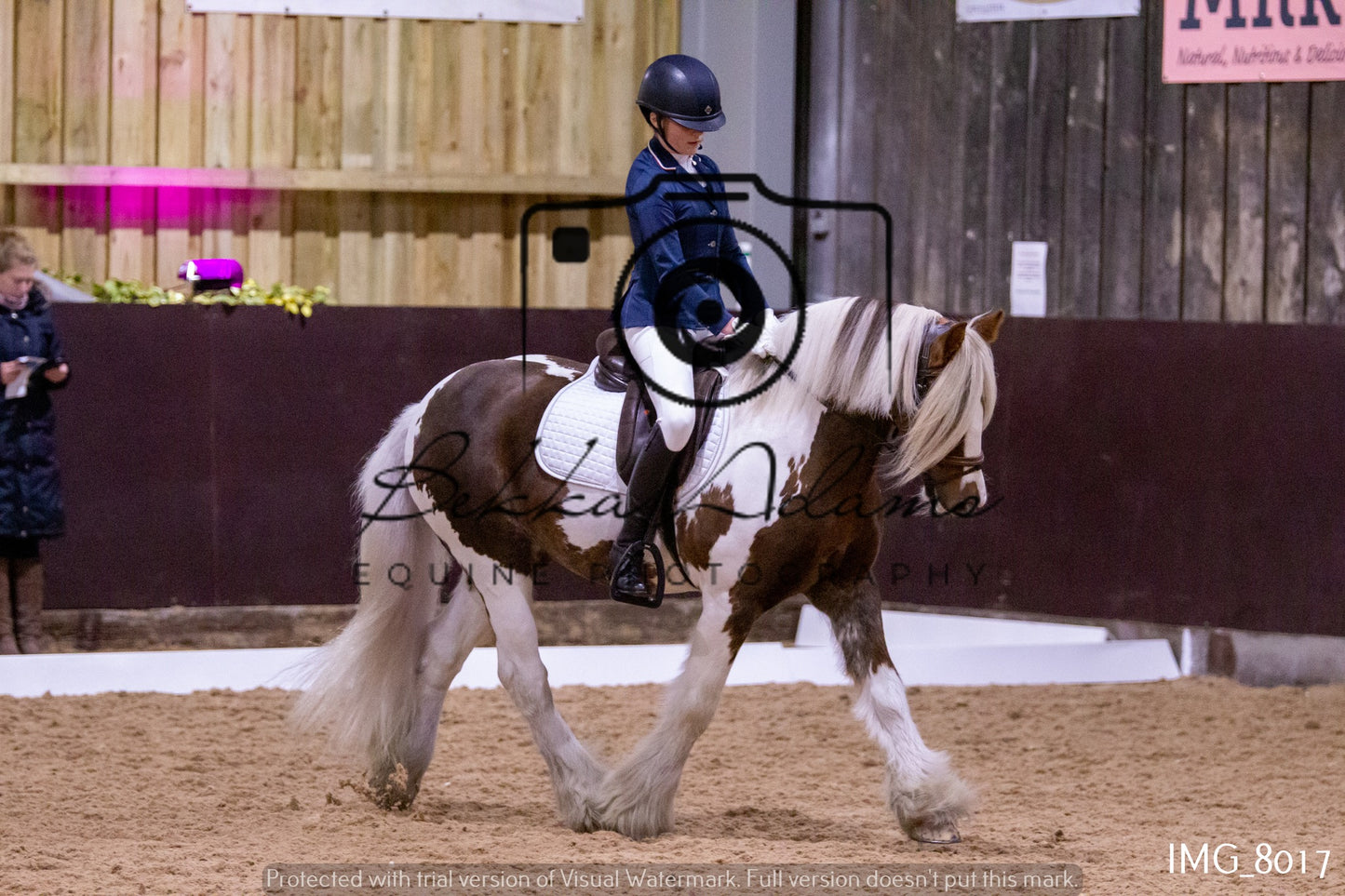 JHOYS Dressage