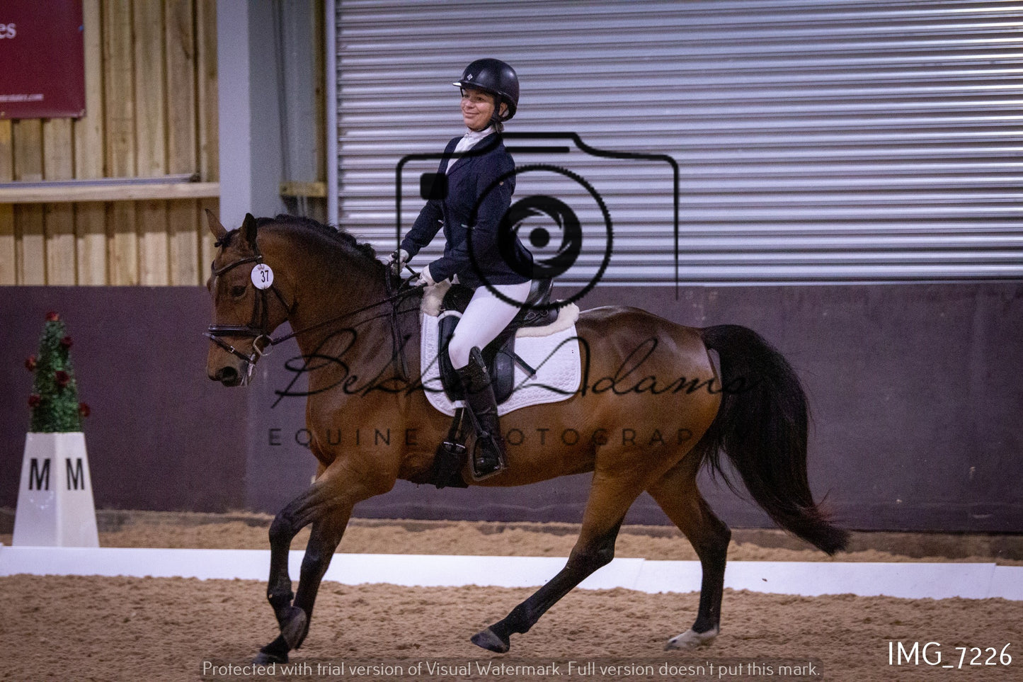 JHOYS Dressage