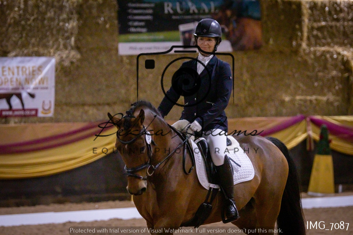 JHOYS Dressage