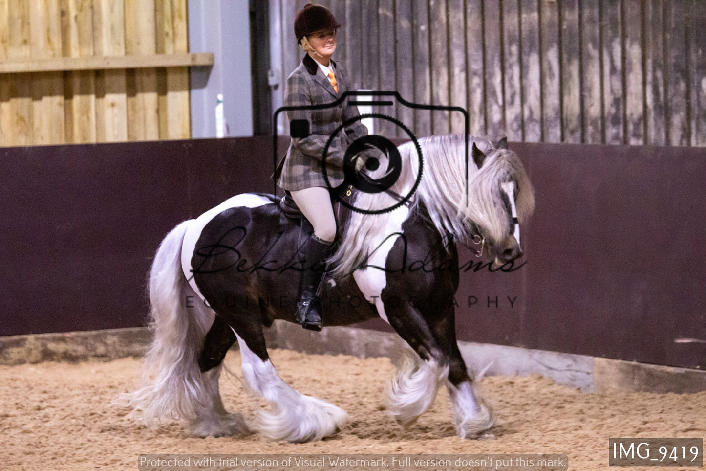 JHOYS Ridden Showing Group 1