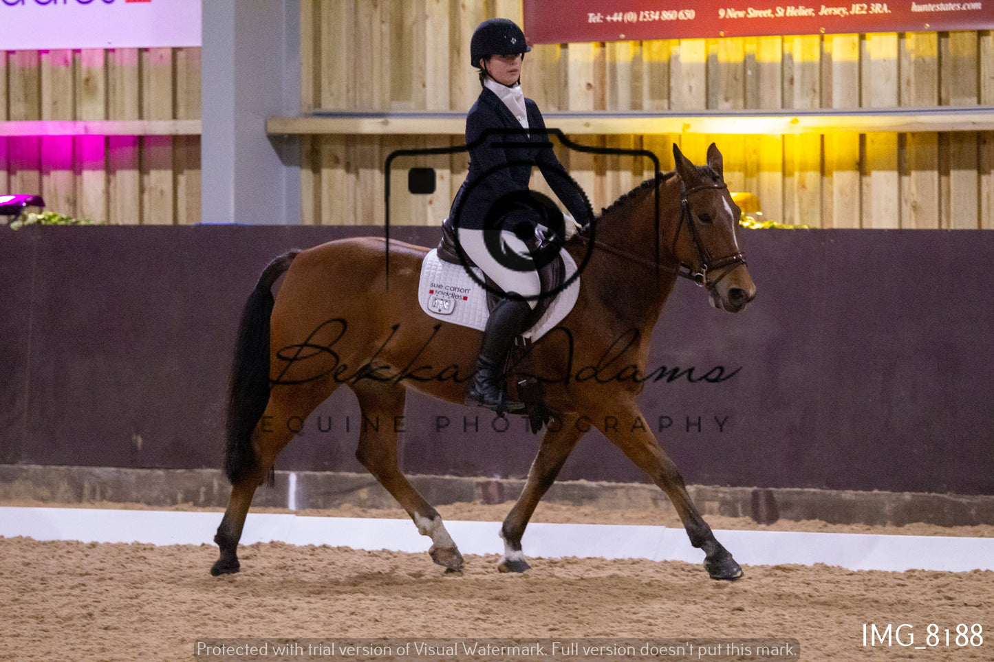 JHOYS Dressage