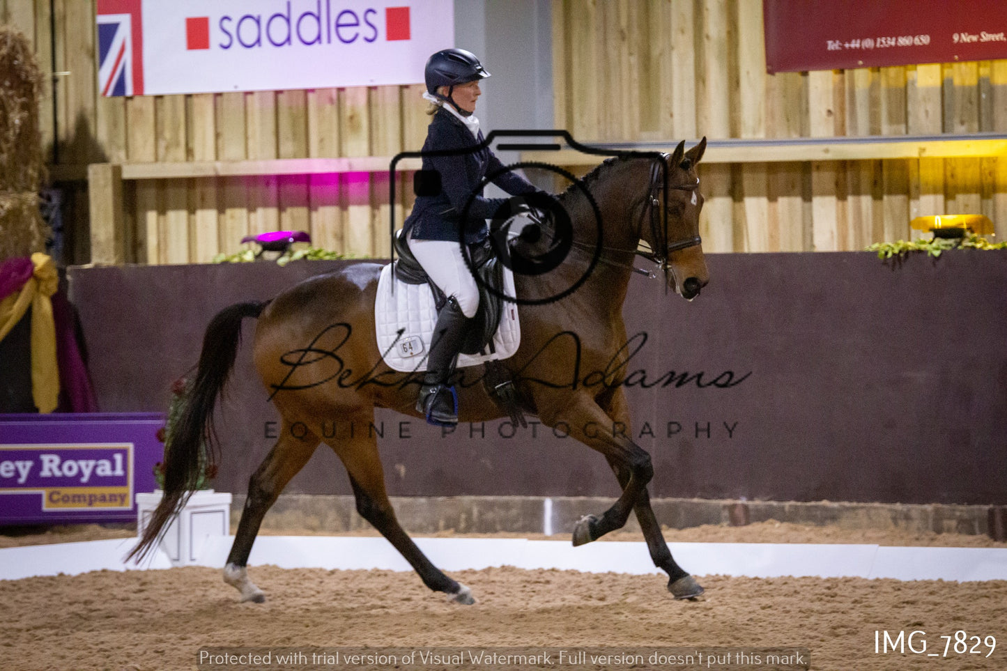 JHOYS Dressage