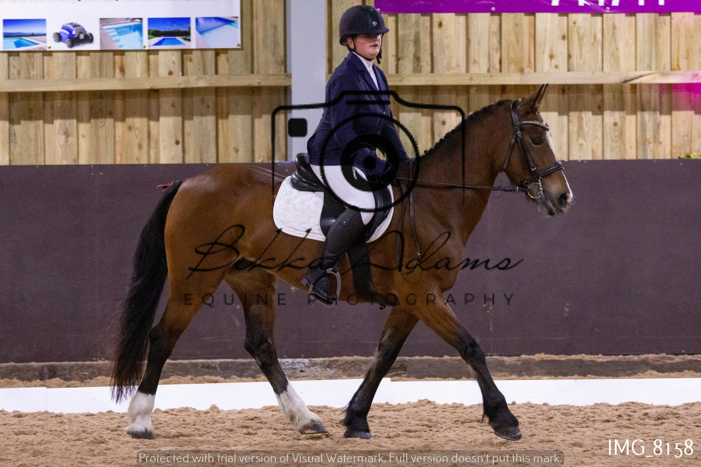 JHOYS Dressage