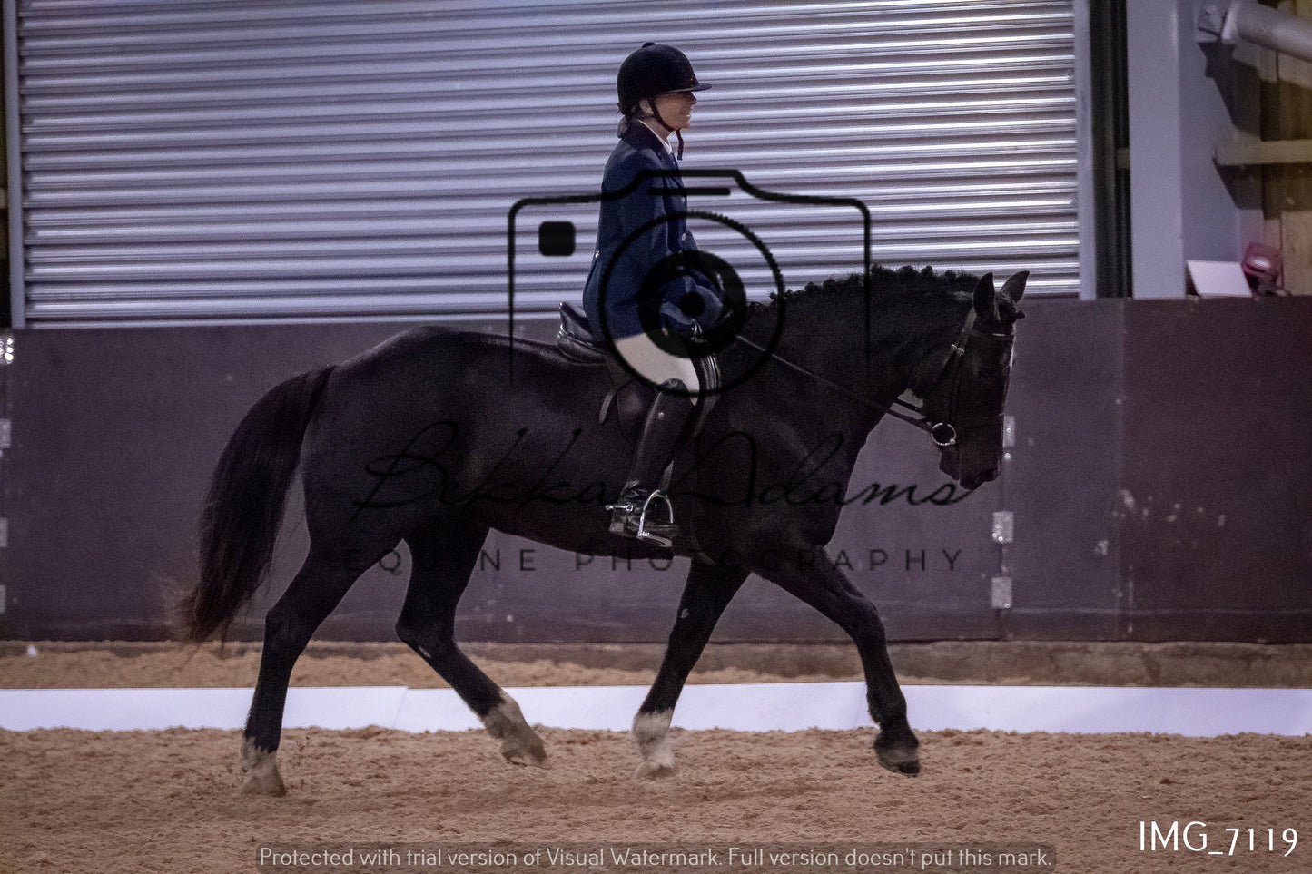 JHOYS Dressage