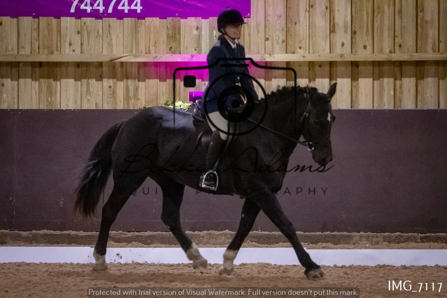 JHOYS Dressage
