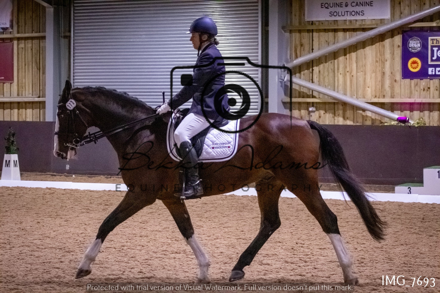 JHOYS Dressage