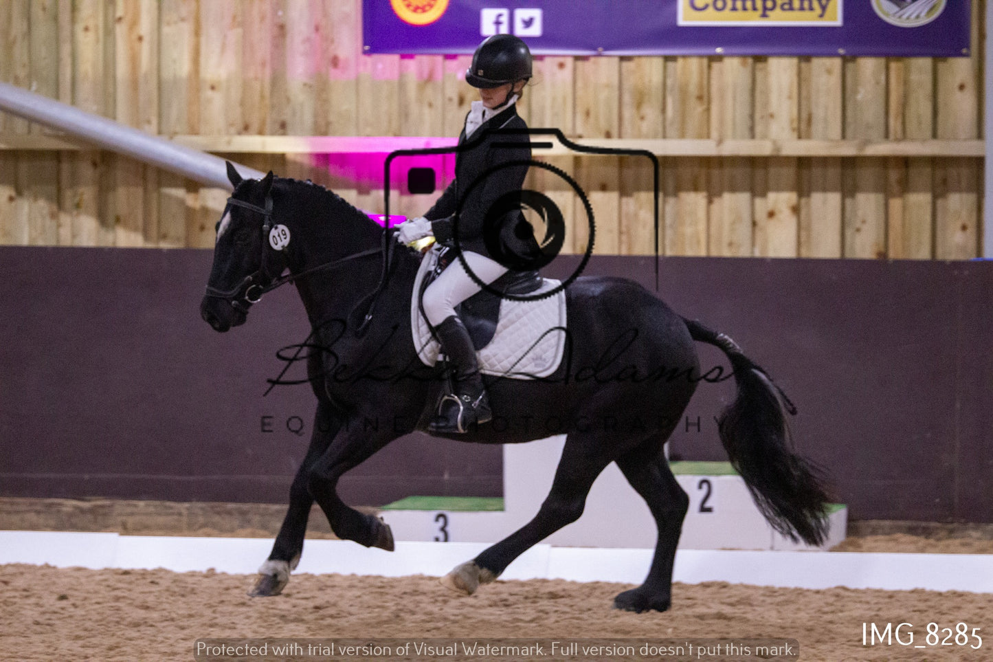 JHOYS Dressage