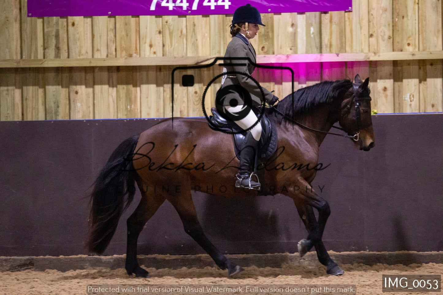 JHOYS Ridden Showing Group 1