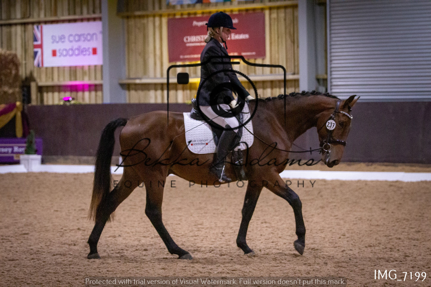 JHOYS Dressage