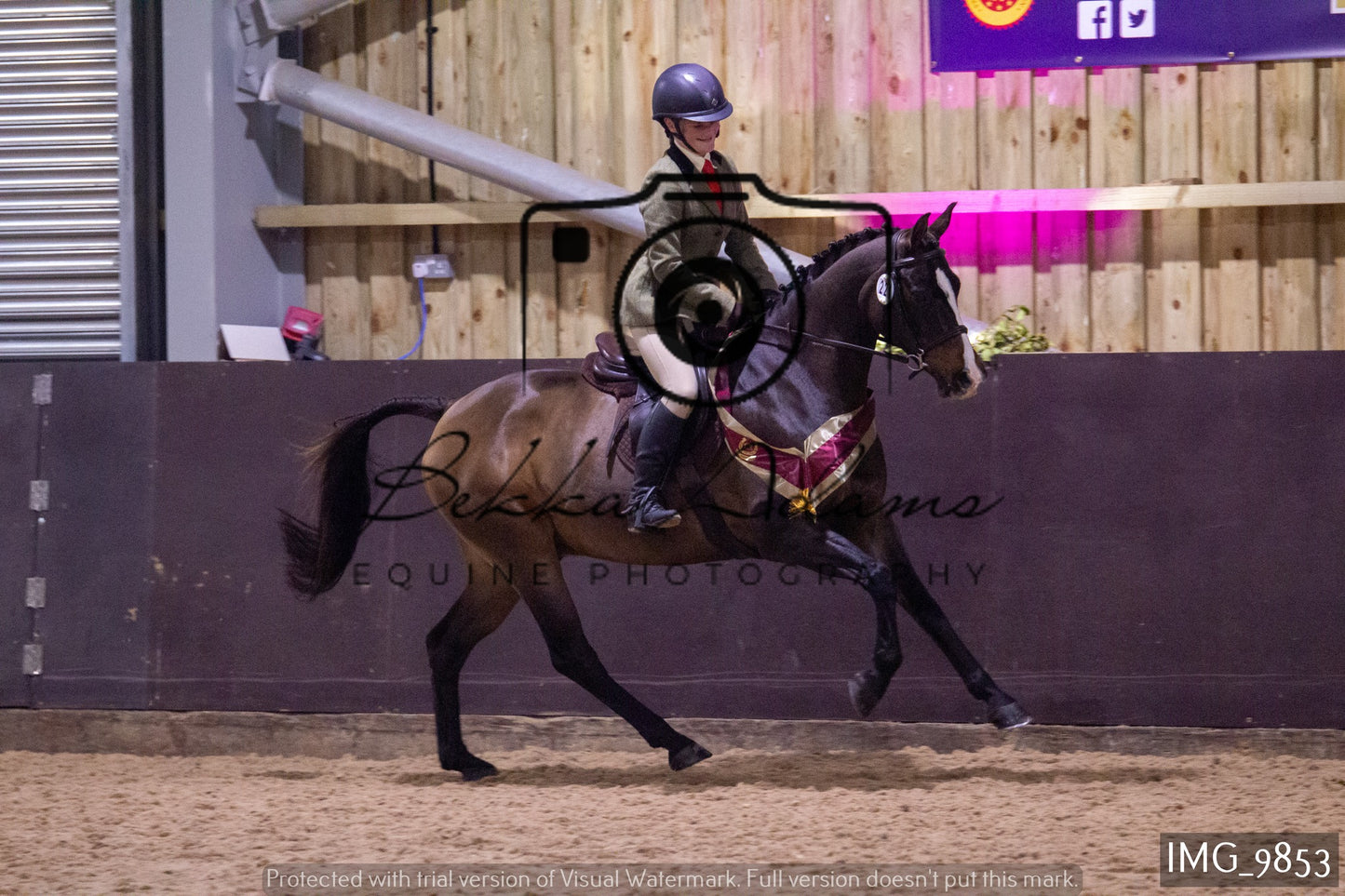 JHOYS Ridden Showing Group 2