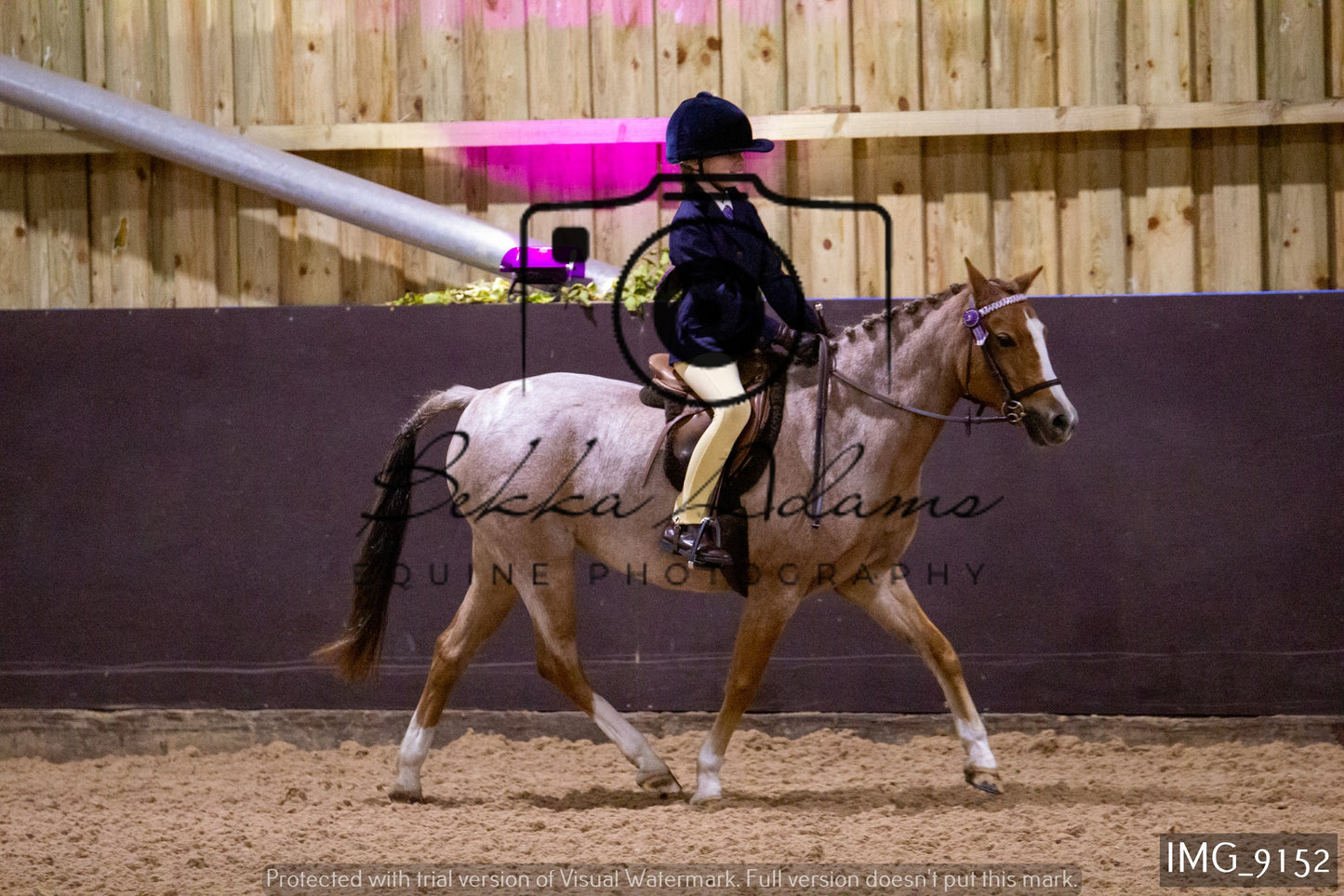 JHOYS Ridden Showing Group 1