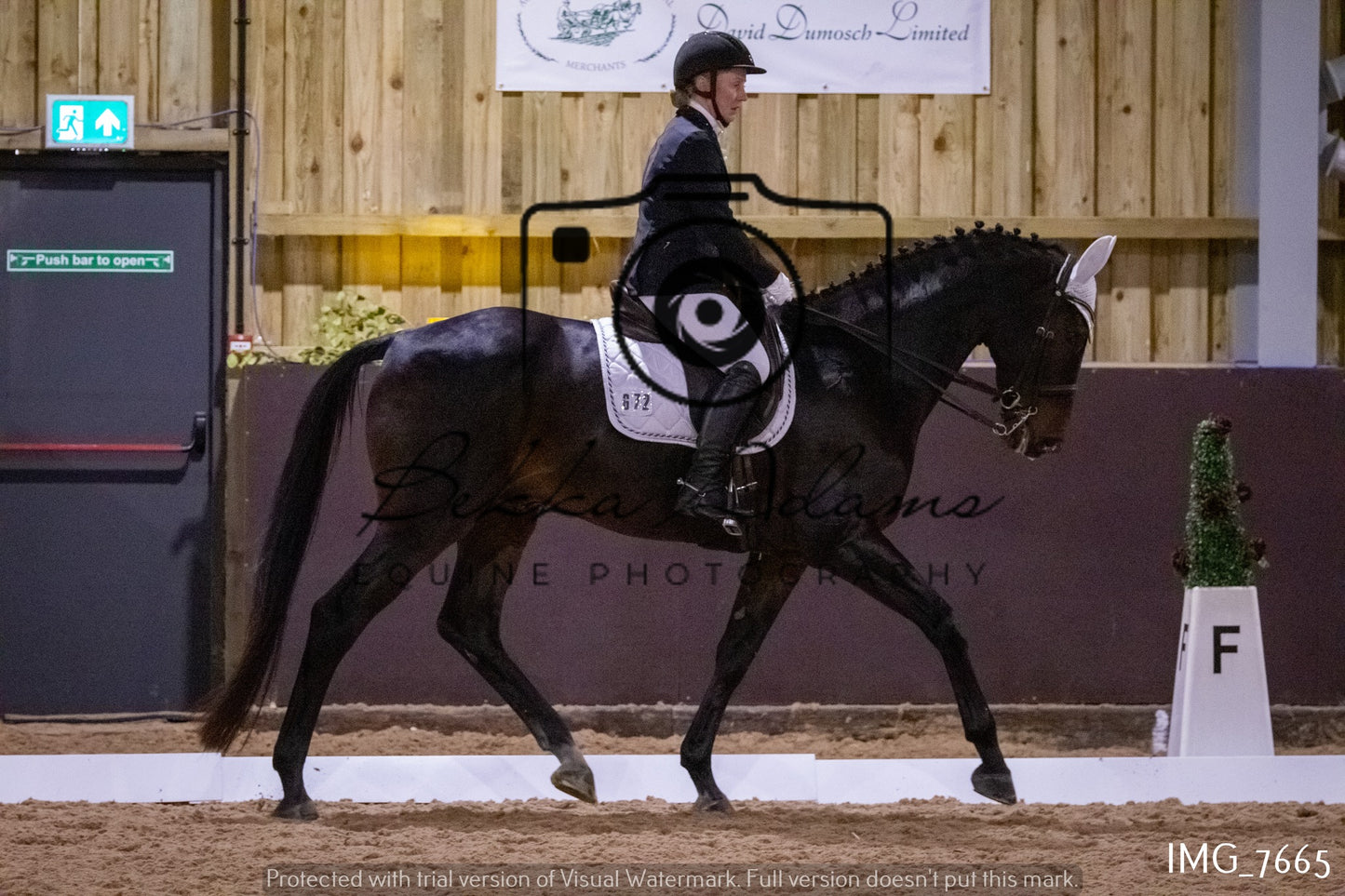 JHOYS Dressage