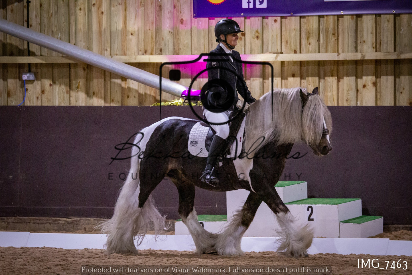 JHOYS Dressage