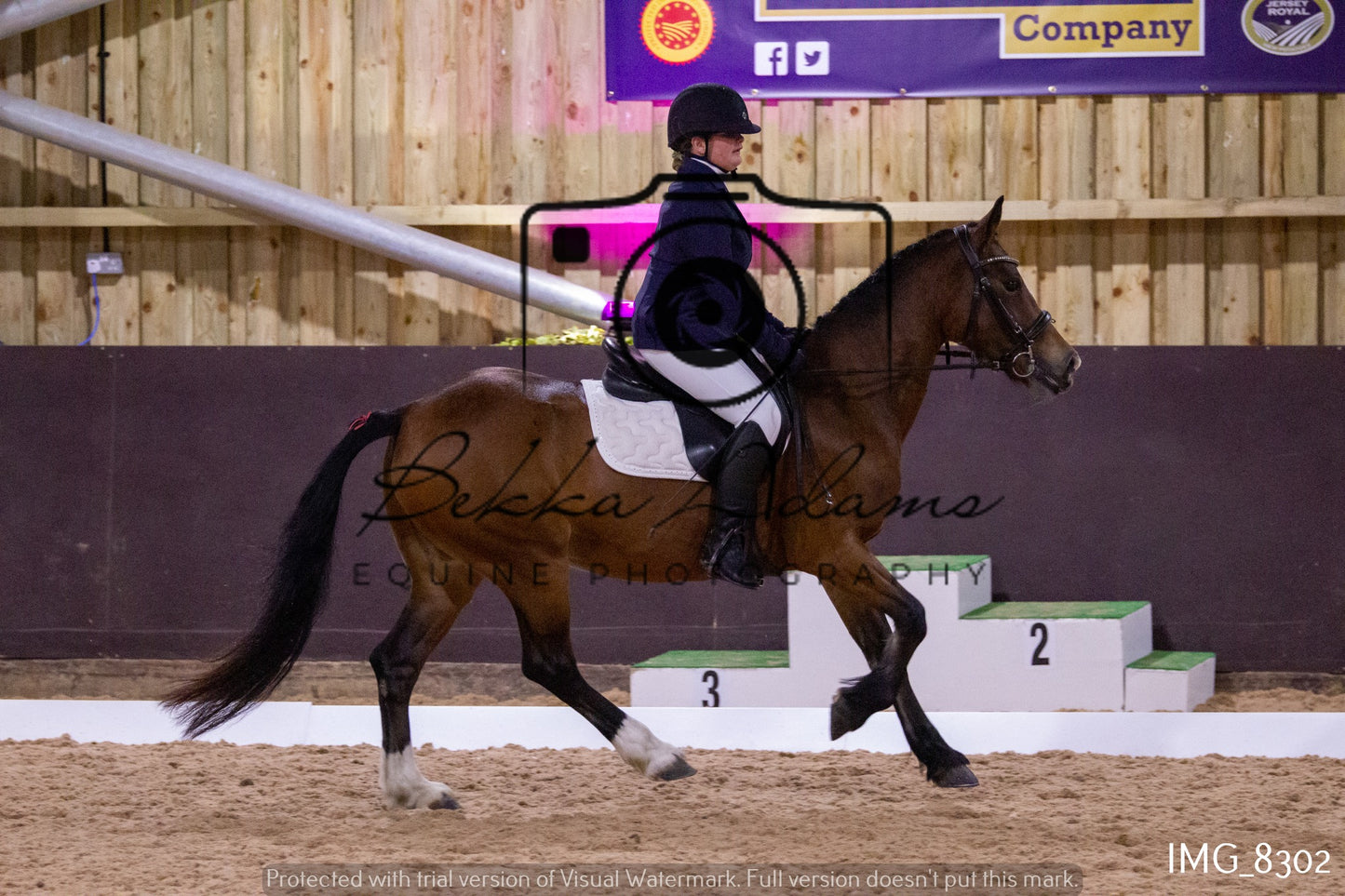 JHOYS Dressage