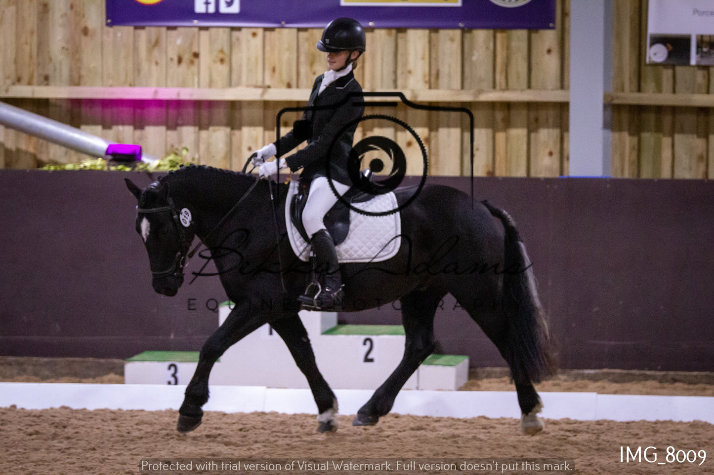 JHOYS Dressage