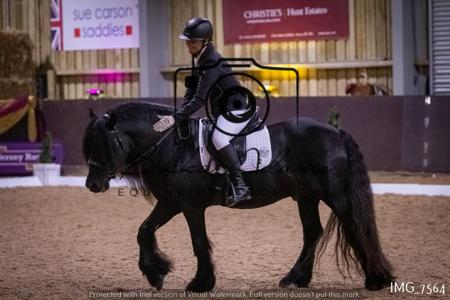 JHOYS Dressage
