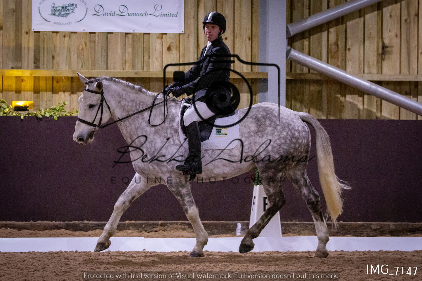 JHOYS Dressage