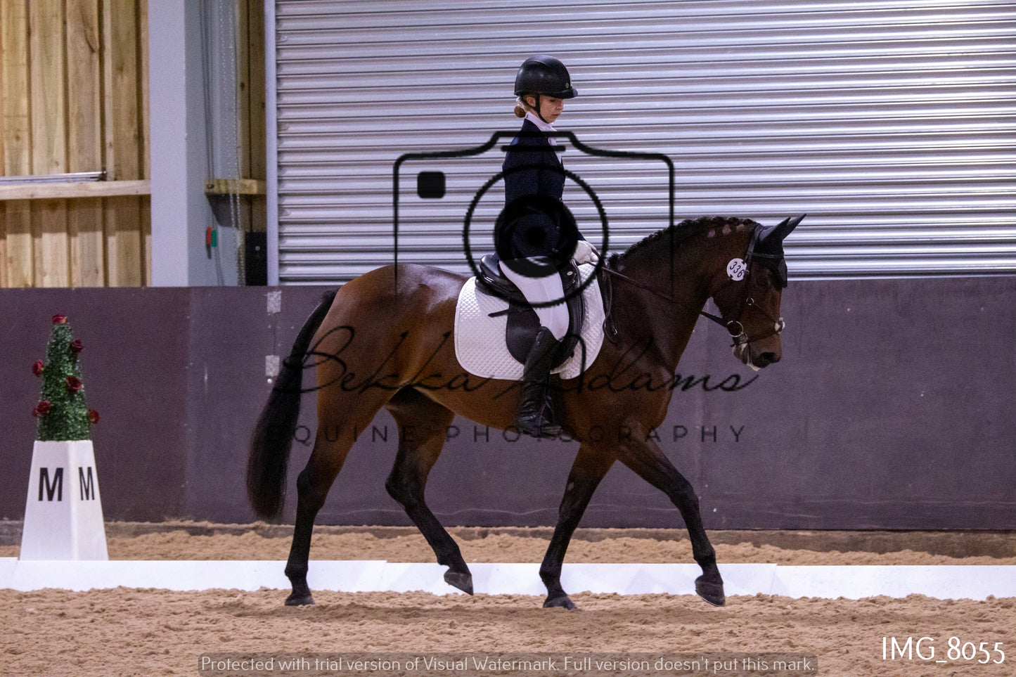 JHOYS Dressage