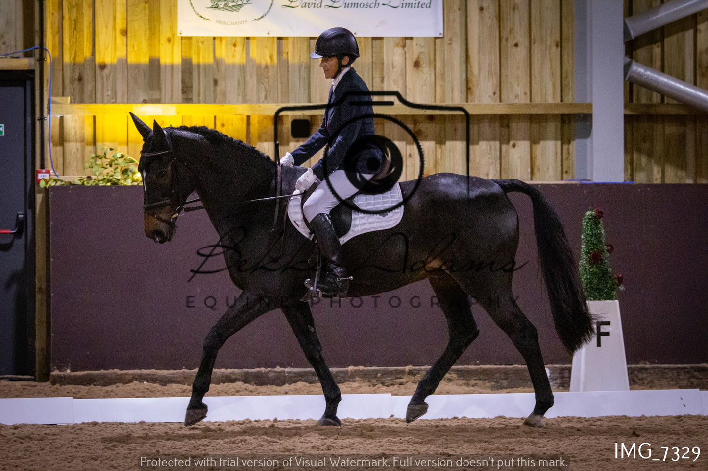 JHOYS Dressage